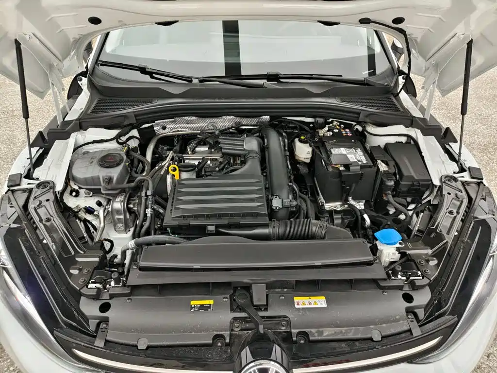 Volkswagen Lamando — миниатюра 13