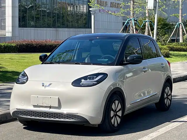 2025 Wuling Motors Binguo