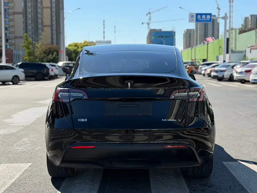 Tesla Model Y — миниатюра 13