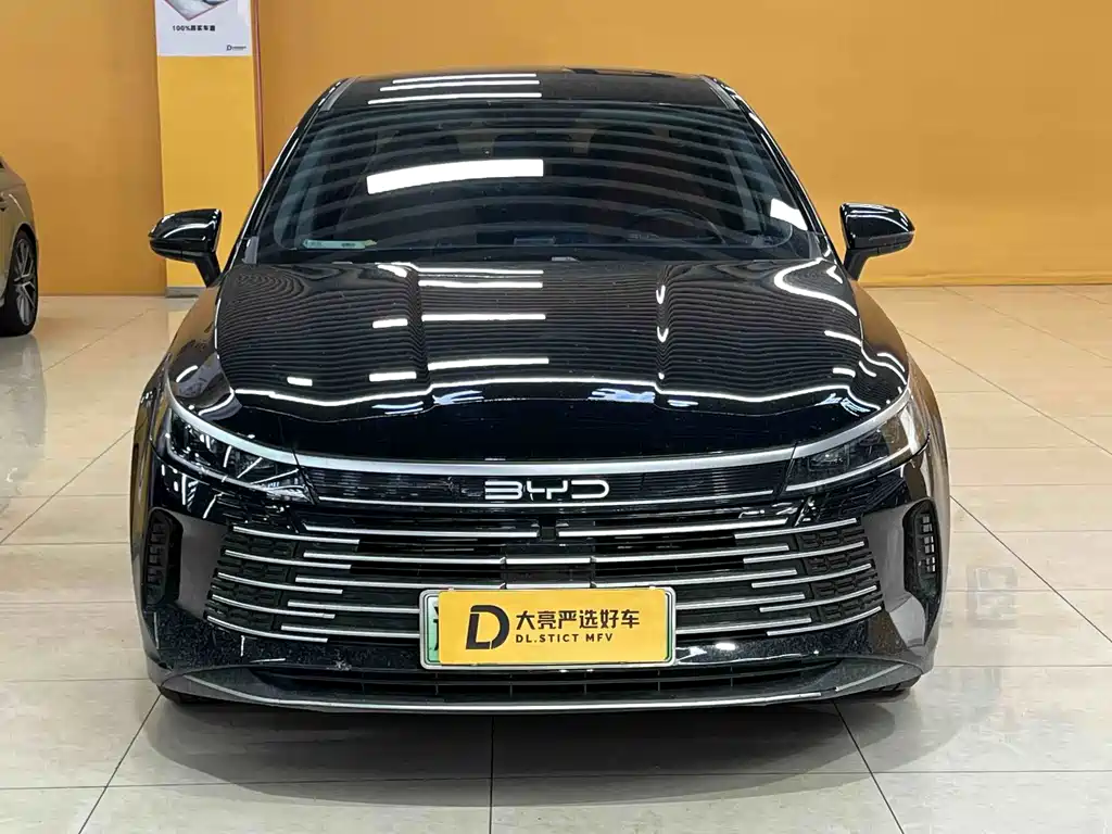 BYD Destroyer 05 — миниатюра 3
