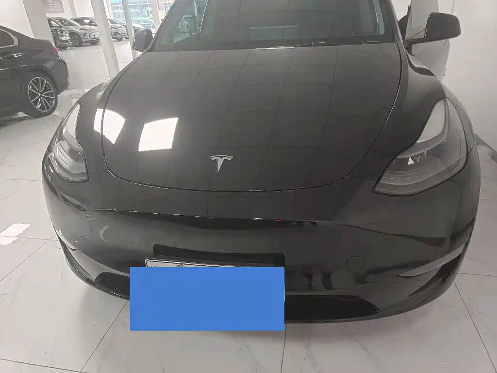 Tesla Model Y — миниатюра 3