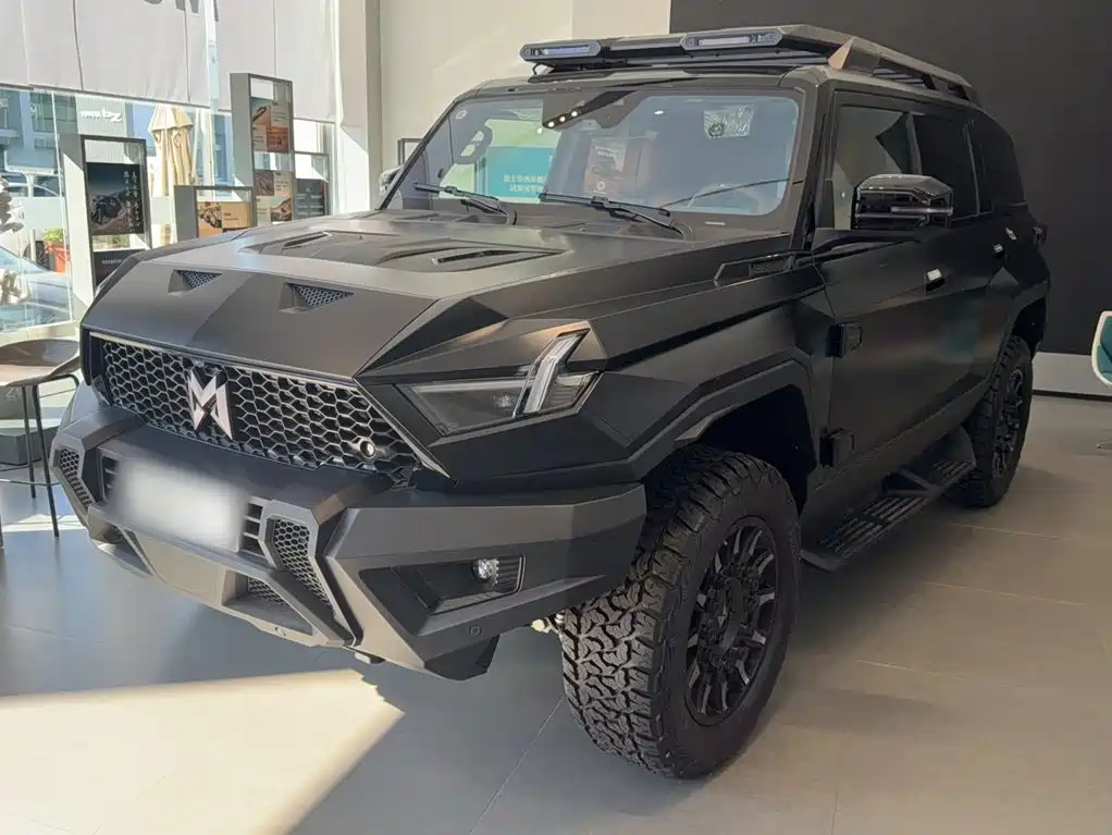 Mengshi Mengshi 917