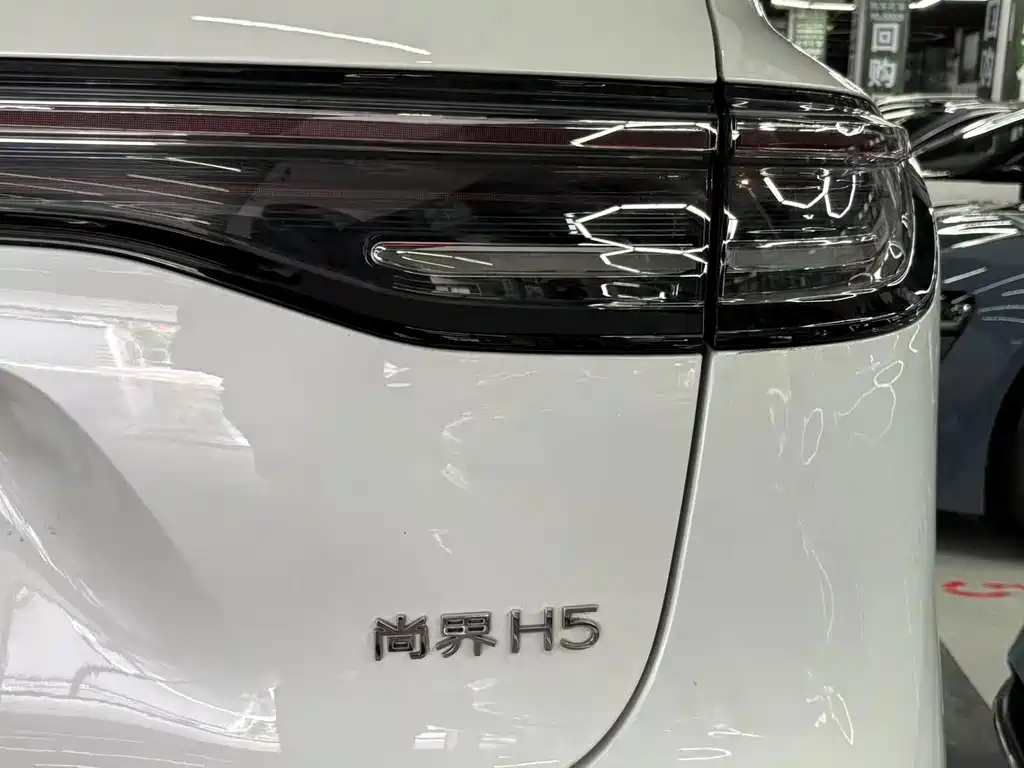 Shangjie Shangjie H5 — миниатюра 13