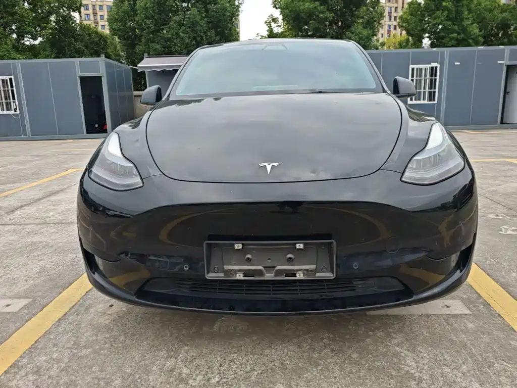 Tesla Model Y — миниатюра 3