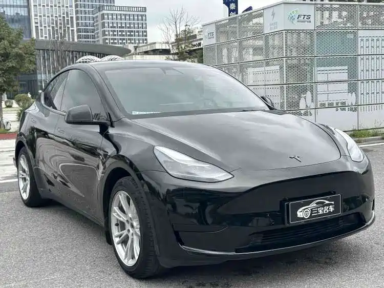 Tesla Model Y — миниатюра 3