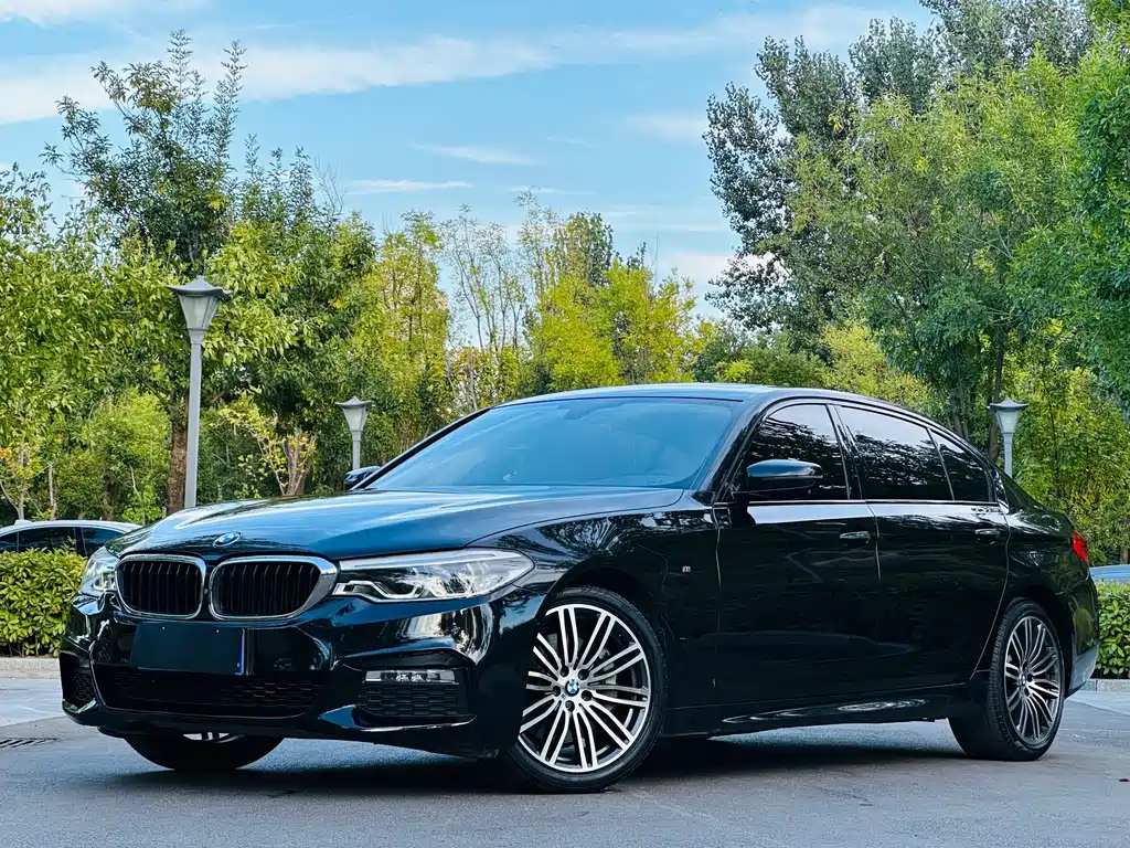 BMW 5 Series — миниатюра 17