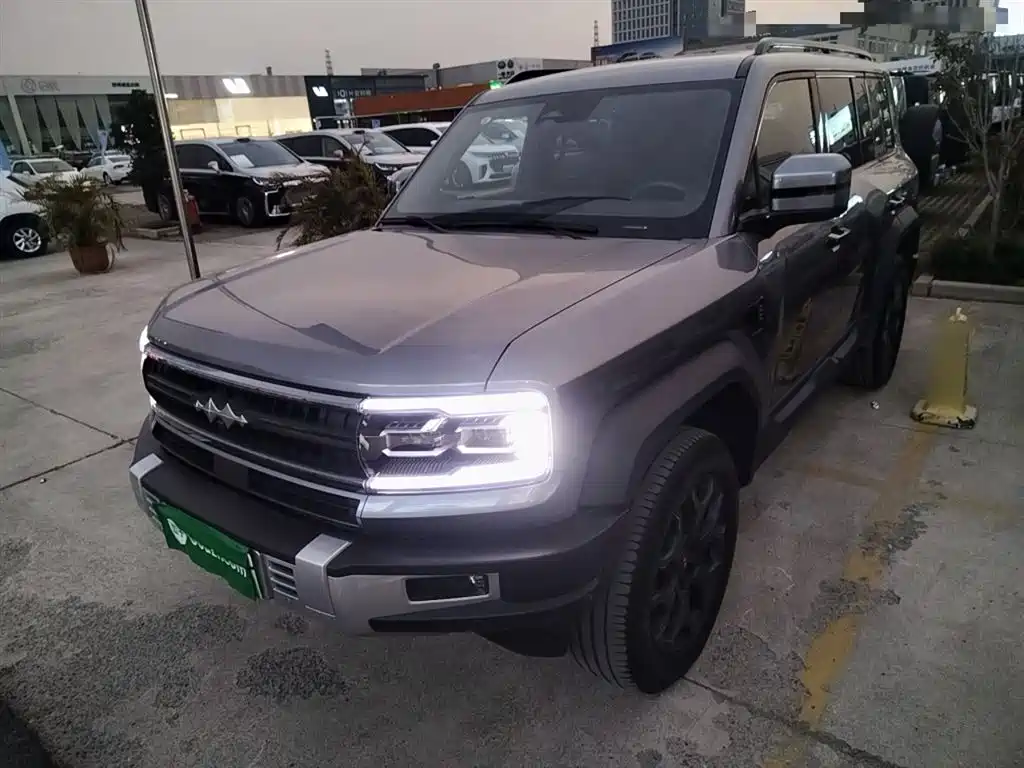 FANG CHENG BAO LEOPARD 5