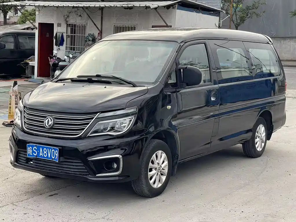 Купить Fengxing Lingzhi
