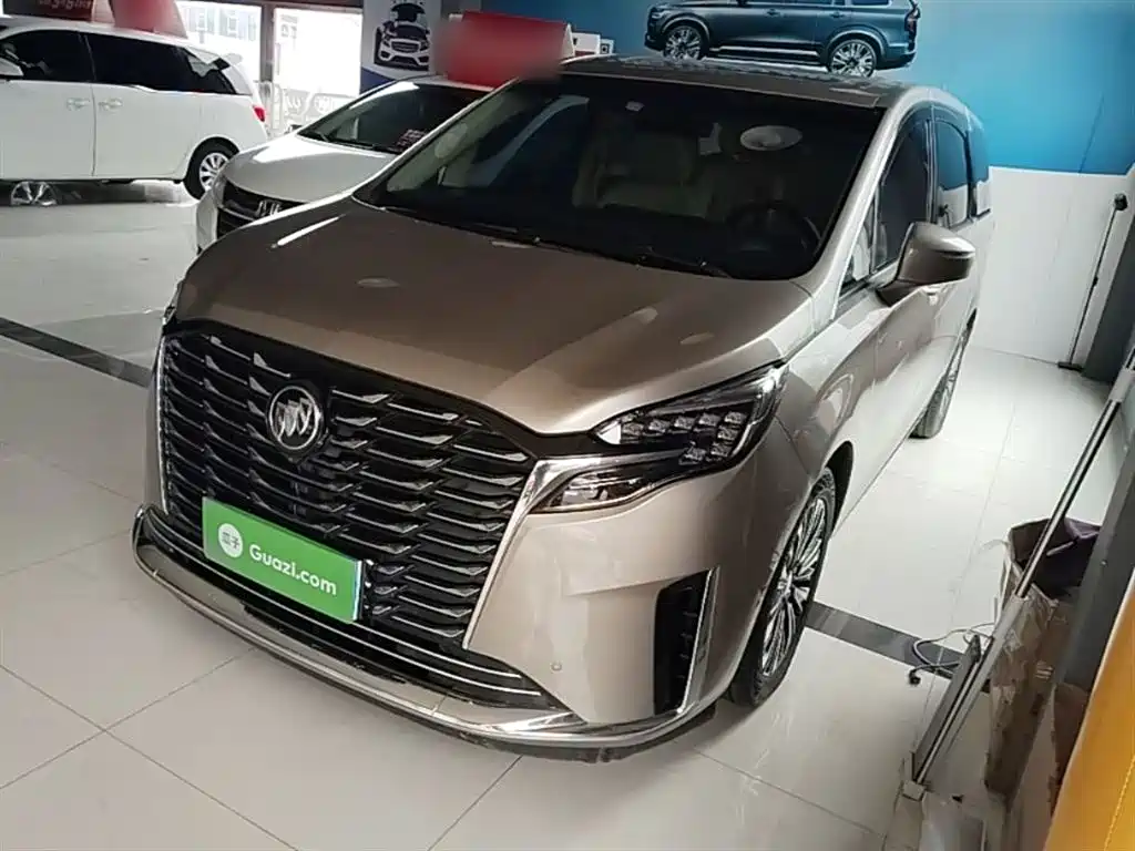 Buick GL8 2023 ES Luxury