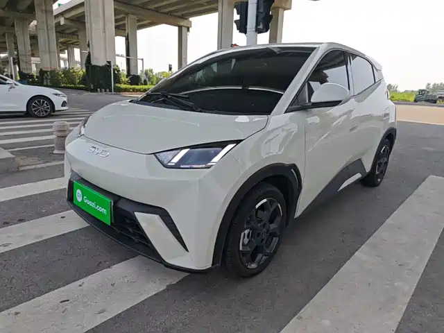 2025 BYD Seagull