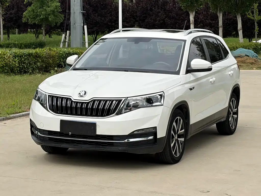 Купить Skoda Kamiq