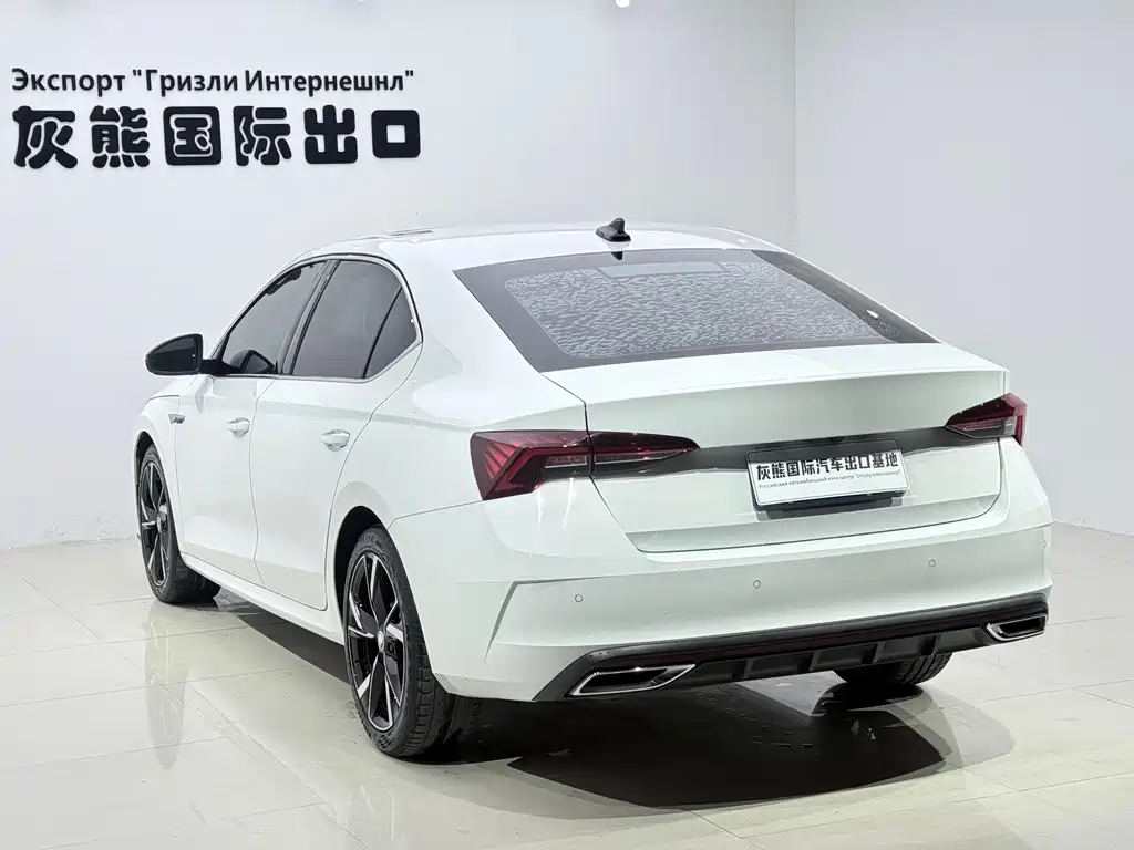 Skoda Octavia — миниатюра 4