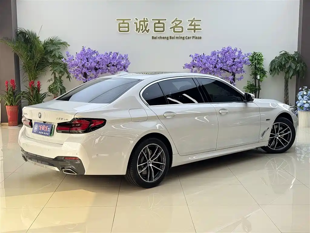 BMW 5 SERIES NEW ENERGY
