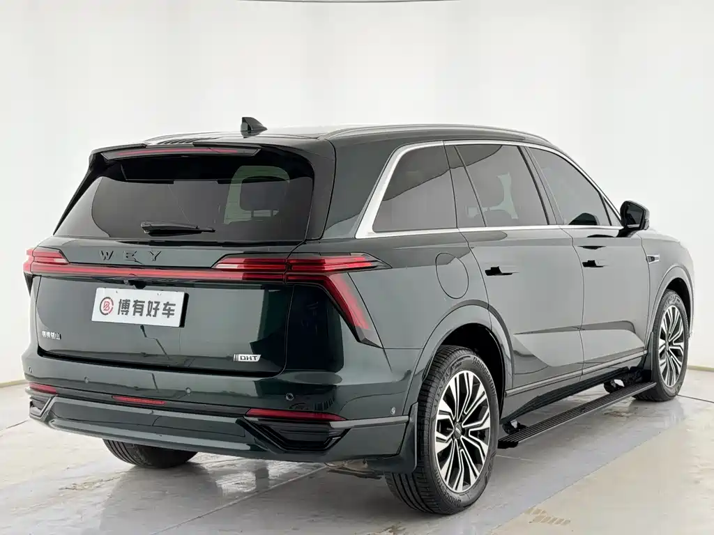 WEI PAI WEI BRAND BLUE MOUNTAIN