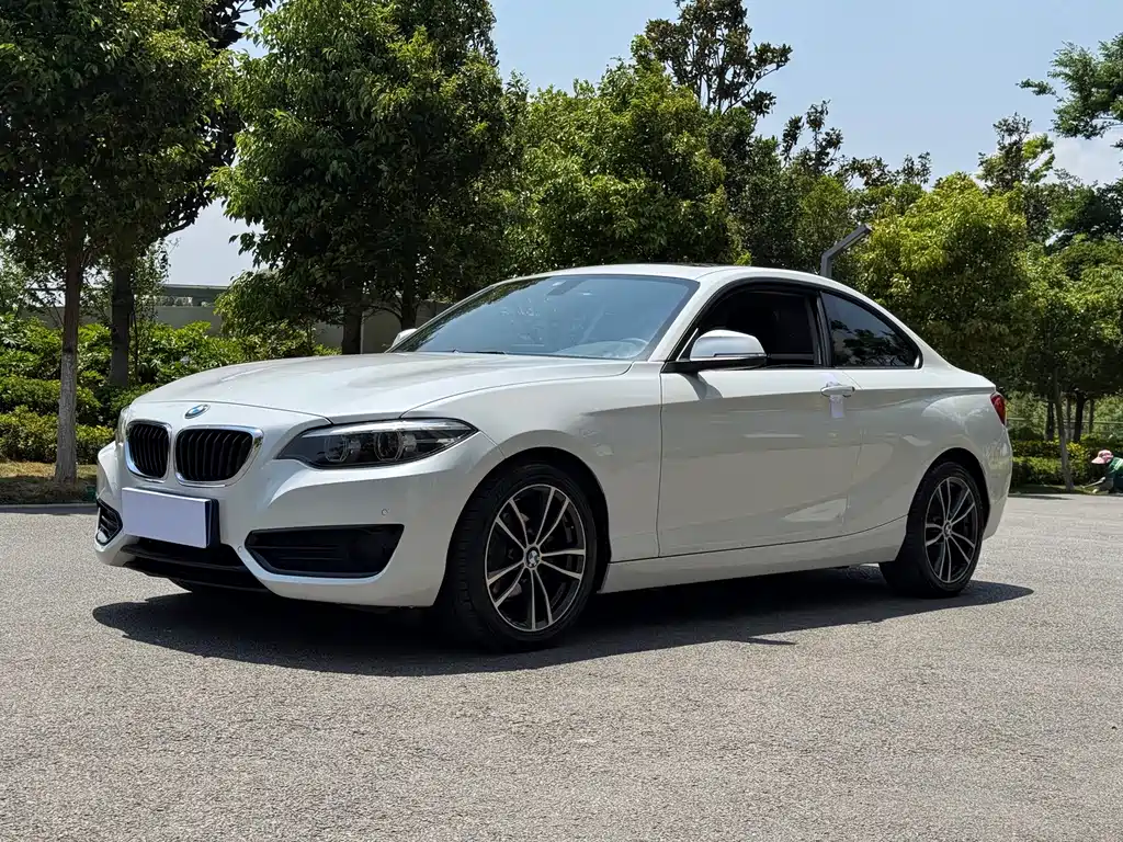 BMW 2 Series (Import) 2019