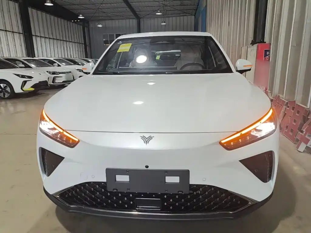 Neta L 2024 310