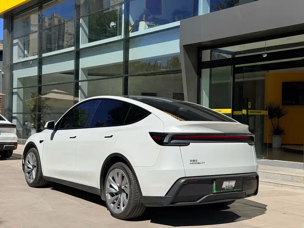 Tesla Model Y — миниатюра 2