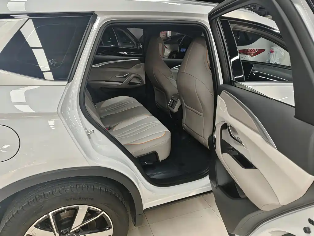 BYD Pro New Energy - фото 17