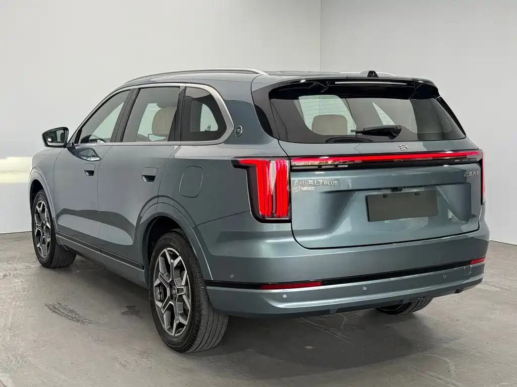 Shanhai L7 PLUS 220km Flagship Edition 7 seats, фото 5