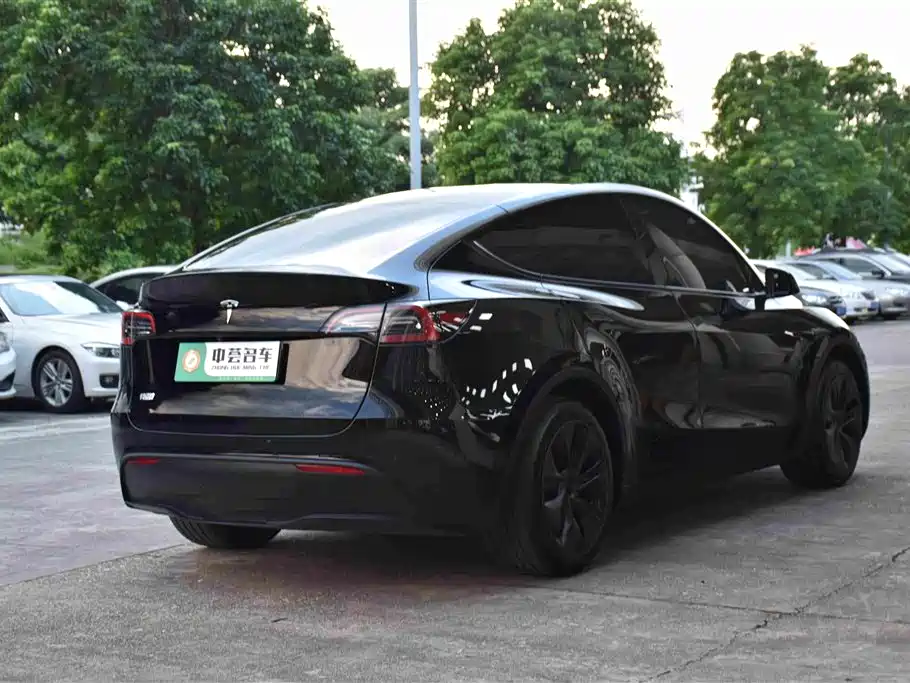 Tesla Model Y — миниатюра 16