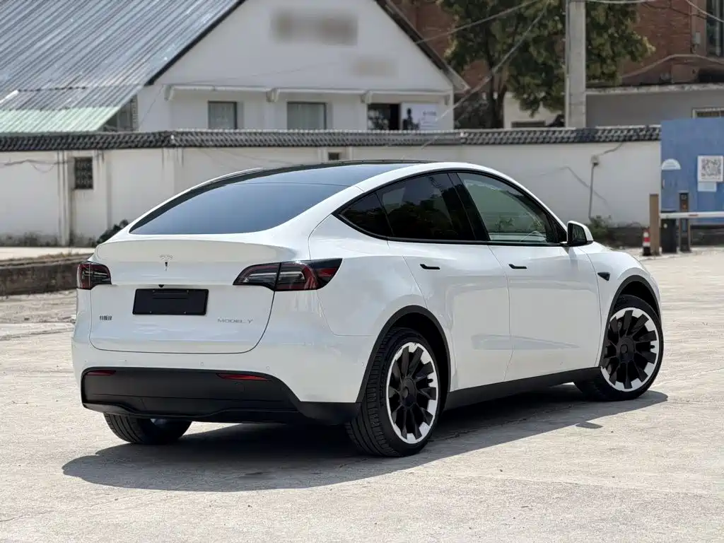 Tesla Model Y — миниатюра 7