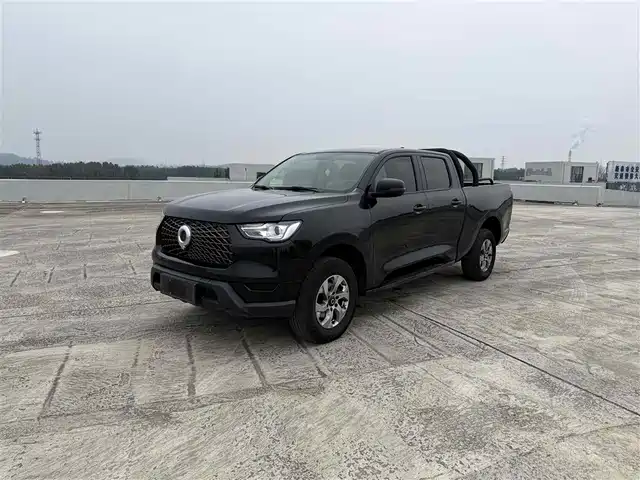 GREAT WALL CANNON 2021