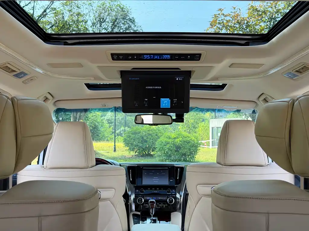Toyota Alphard — миниатюра 13