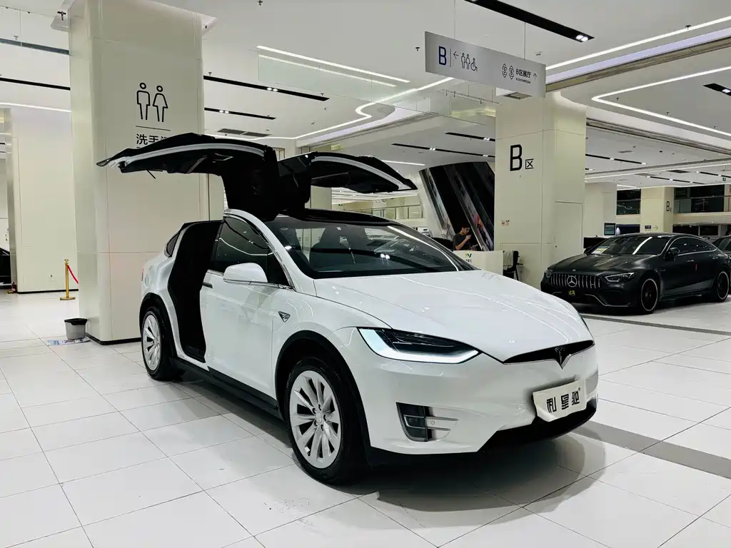Tesla Model X — миниатюра 2