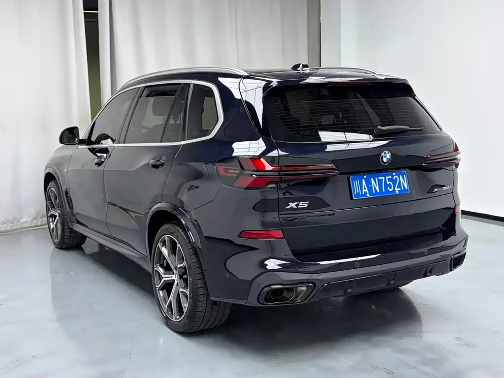 BMW X5 — миниатюра 7
