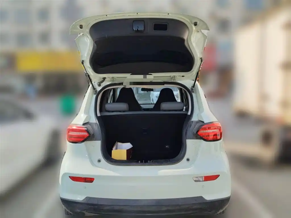 Leapmotor T03 2025 310