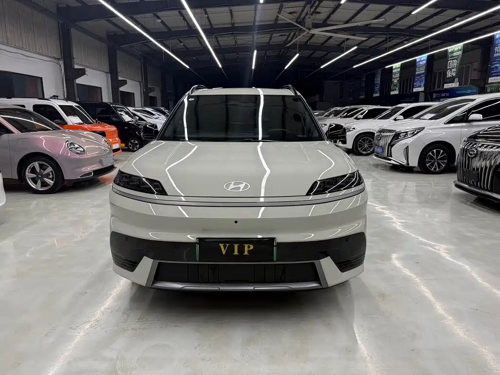 Hyundai EO — миниатюра 2