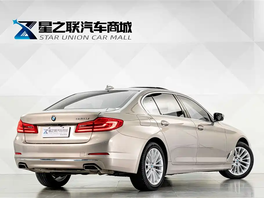 BMW 5 Series 5 2019 525Li Luxury