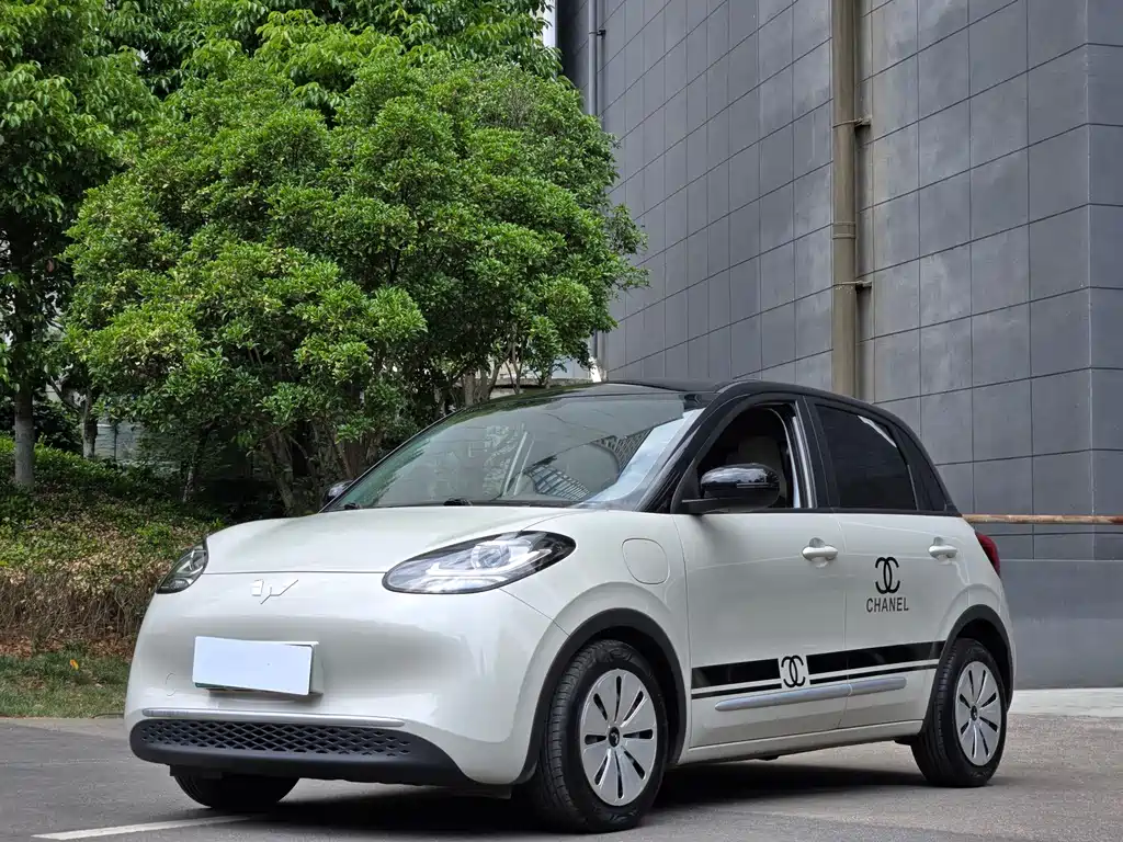 Wuling Bingo 2024