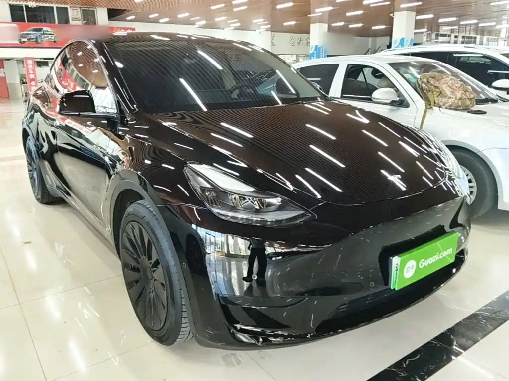 Tesla Model Y — миниатюра 4