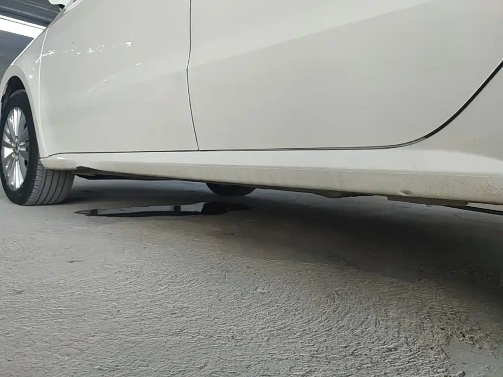 Volkswagen Gran Lavida — миниатюра 22