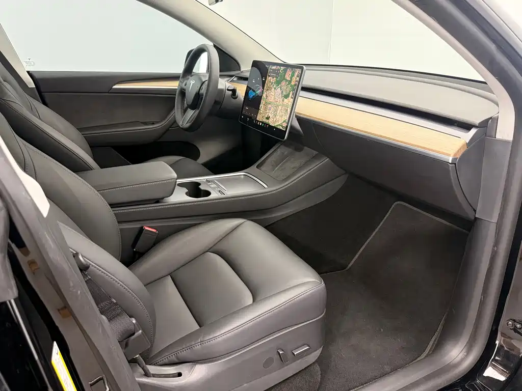 Tesla Model Y — миниатюра 9
