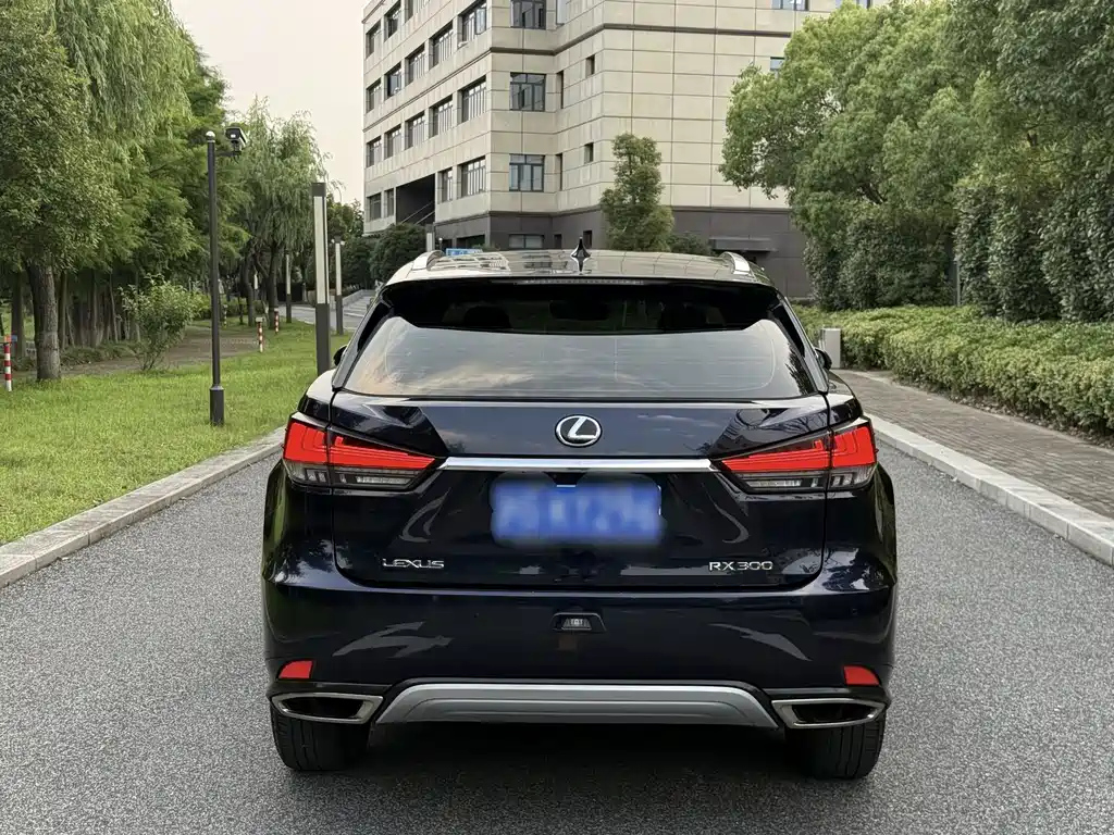 Lexus RX 2020 300 Comfort VI