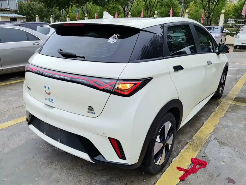 BYD Dolphin — миниатюра 7