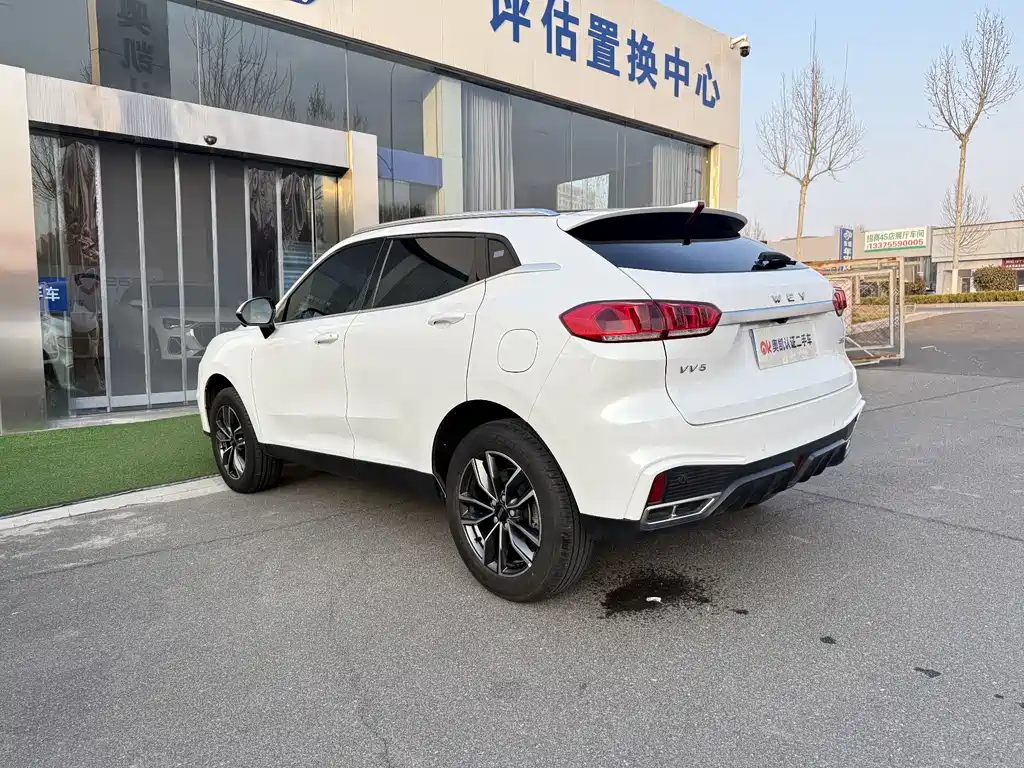 WEI PAI WEI BRAND VV5