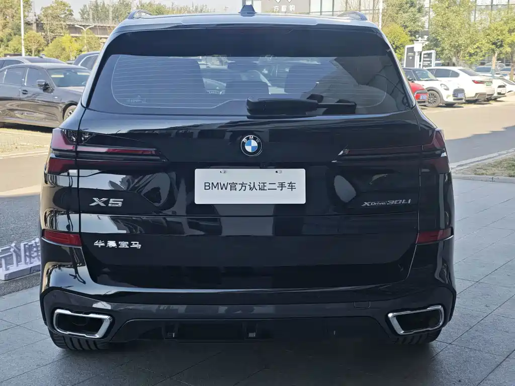 BMW X5 — миниатюра 5
