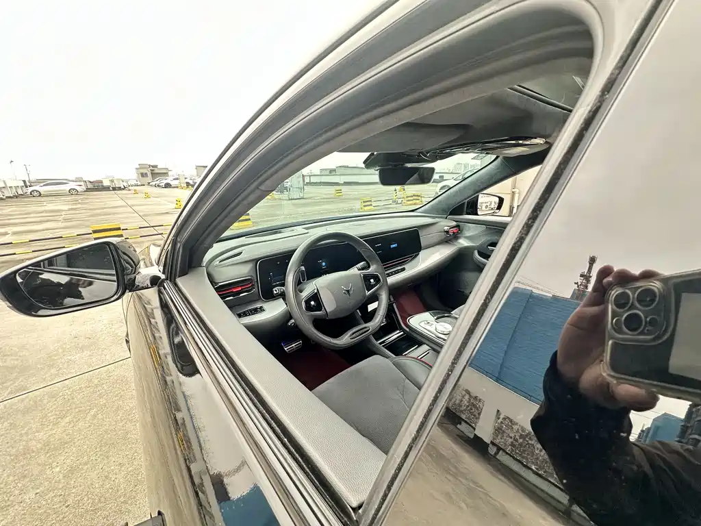 ARCFOX EXTREME FOX POLAR FOX ALPHA S