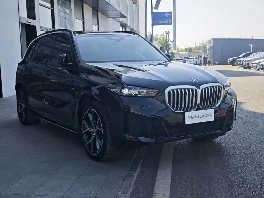 BMW X5 — миниатюра 4