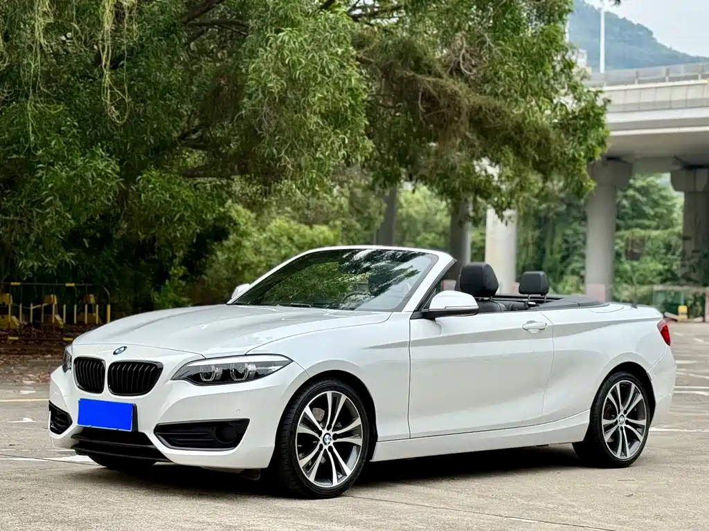 Купить BMW 2 Series (Import)