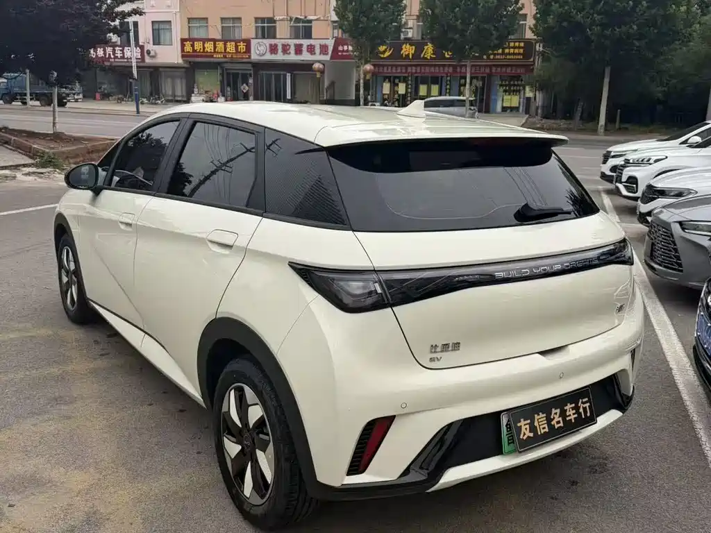 BYD Dolphin 2025 420km Freedom