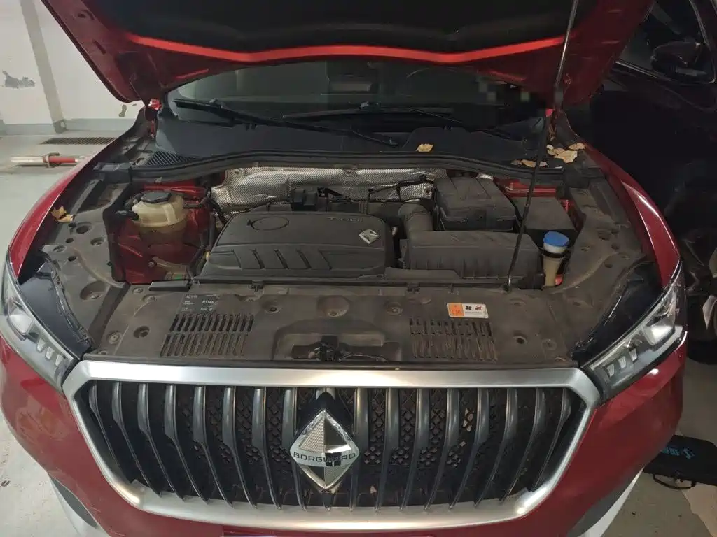 Borgward BX5 — миниатюра 11