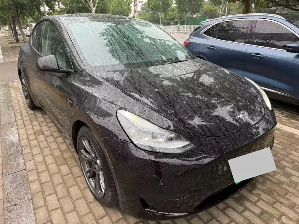 Tesla Model Y — миниатюра 4