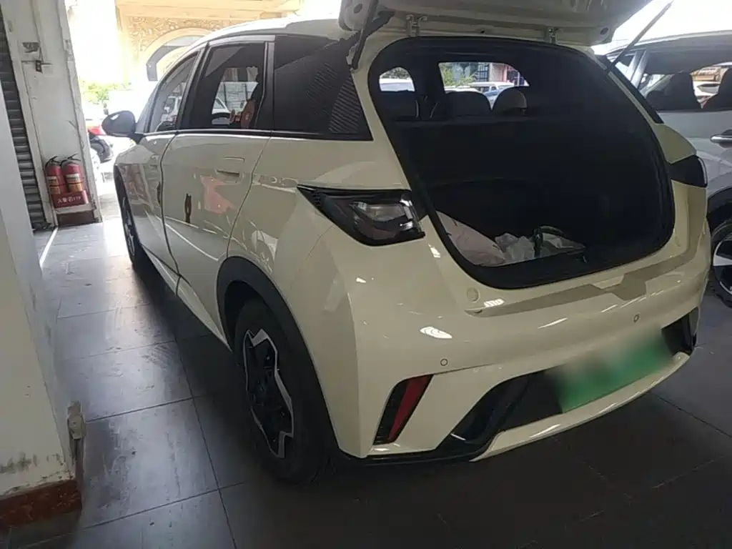 BYD Dolphin — миниатюра 5