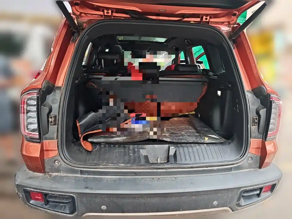 Haval 长城大狗 — миниатюра 15
