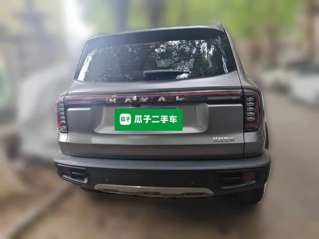 Haval 长城大狗 — миниатюра 5