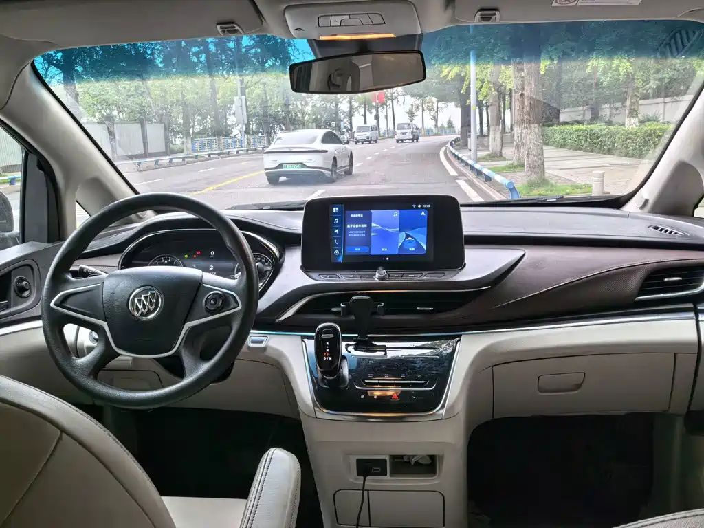 Buick GL8 — миниатюра 5